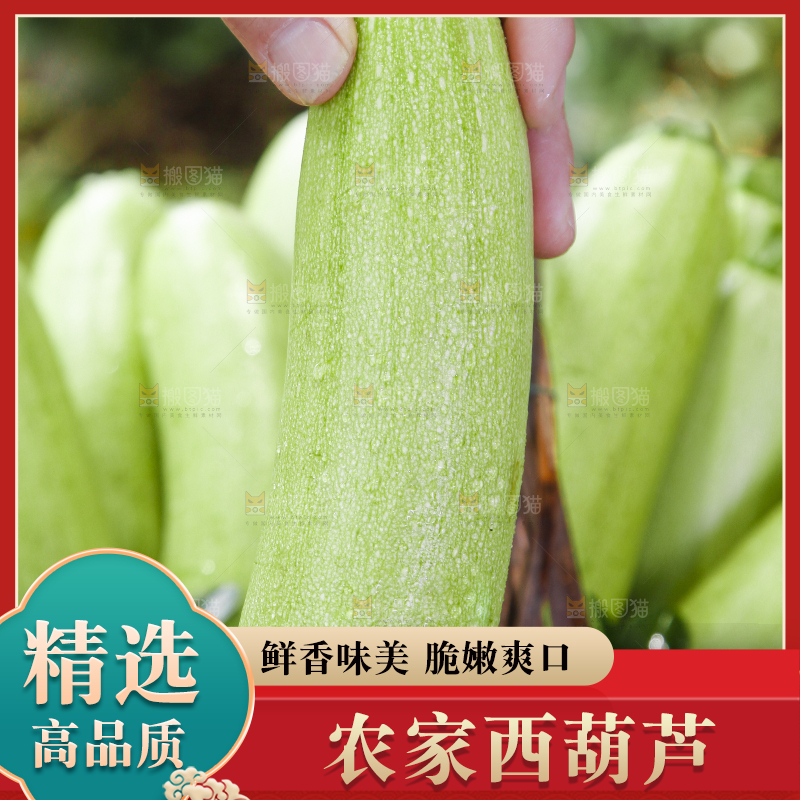手里拿着西葫芦瓜
