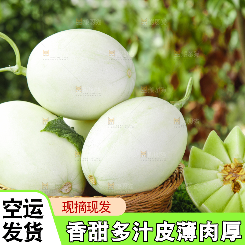 篮子里装着玉菇甜瓜