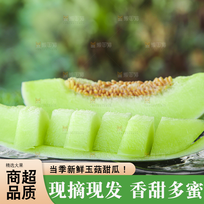 绿草地上放着一玉菇甜瓜