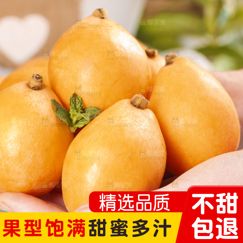 手里拿着枇杷果