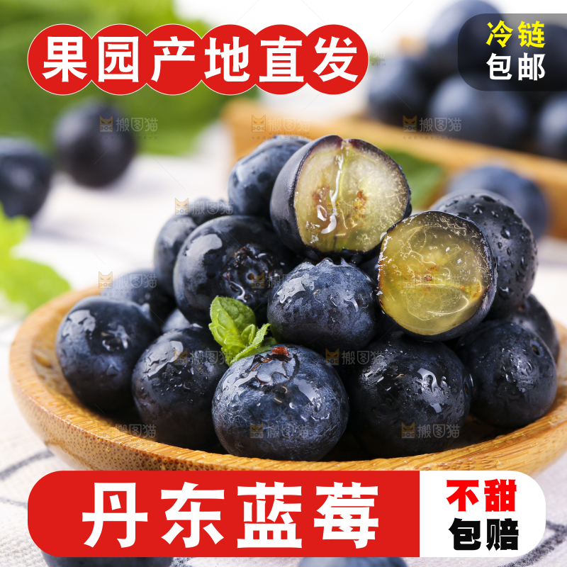 碟子里装着蓝莓果