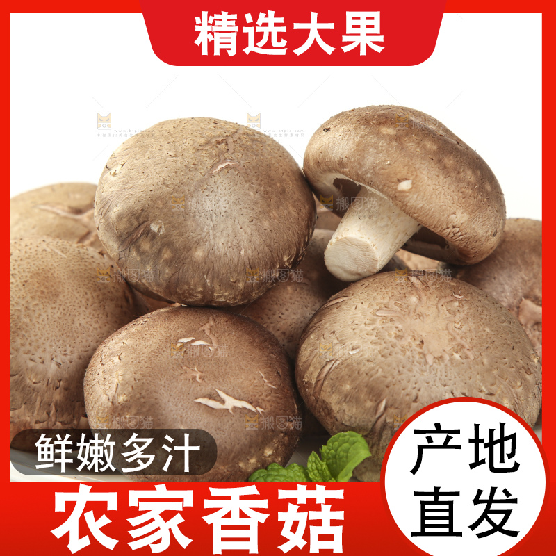 盘子里装着新鲜香菇