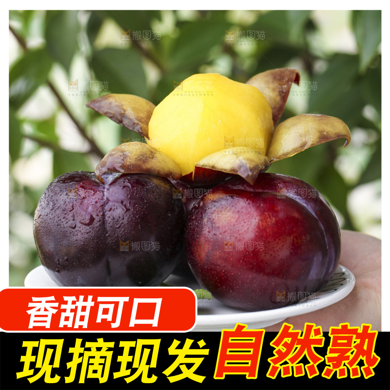 手里拿着一盘黑布林