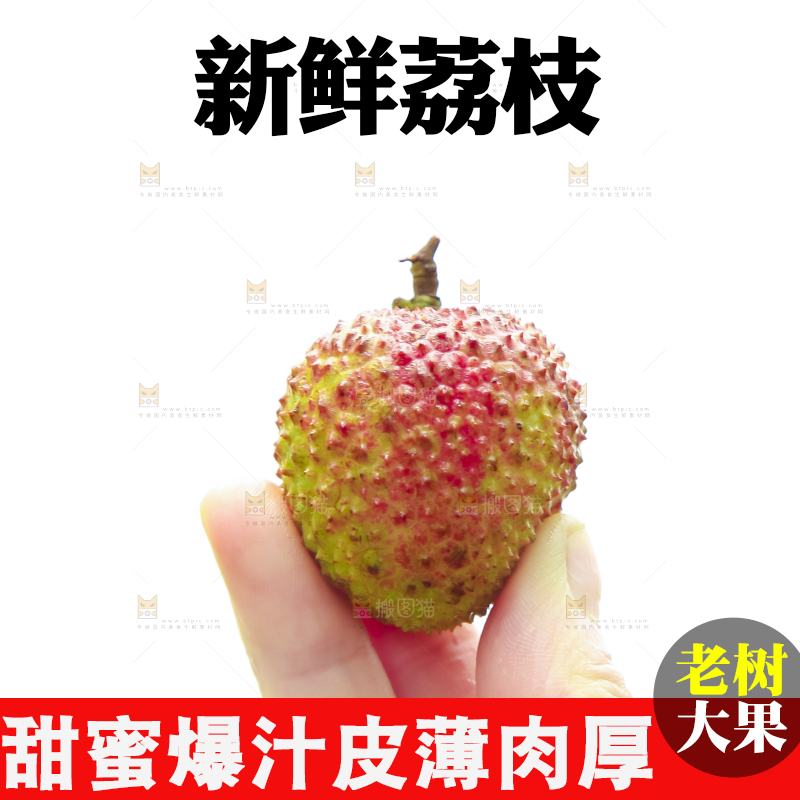 手里拿着妃子笑荔枝