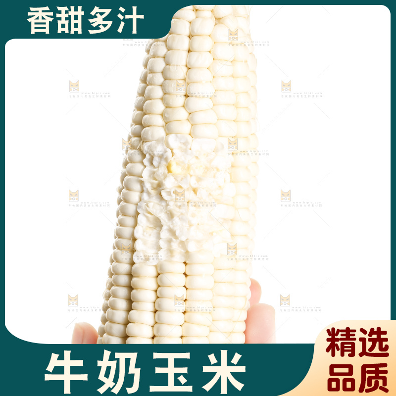 手里拿着白玉米