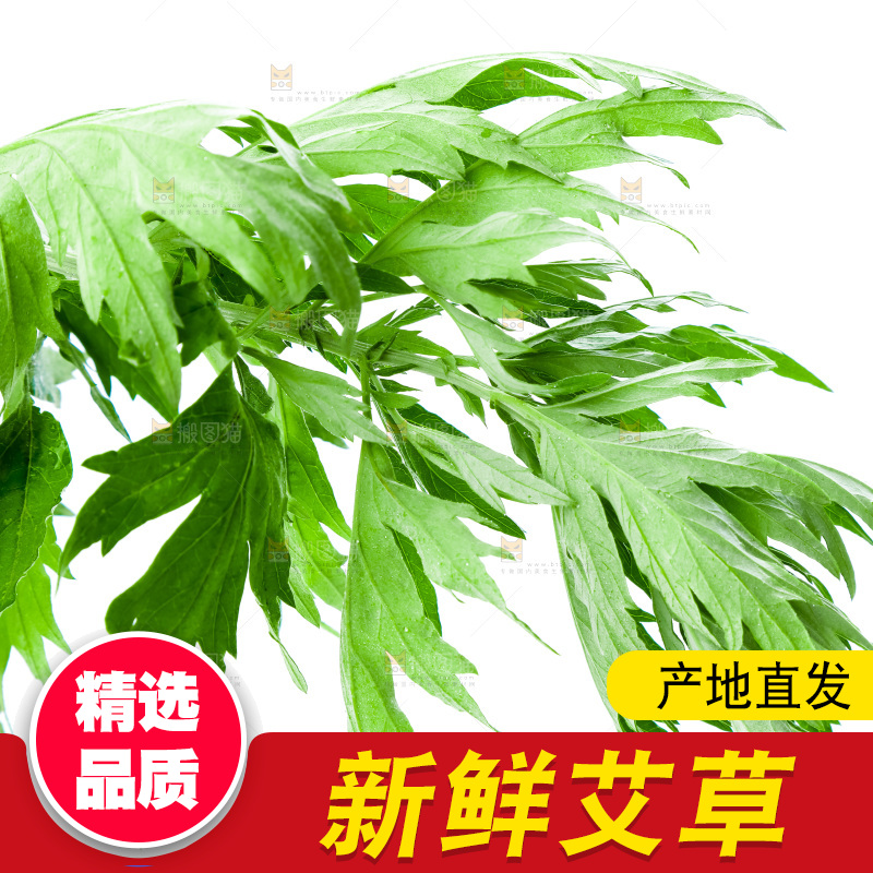 白底上放着艾草叶