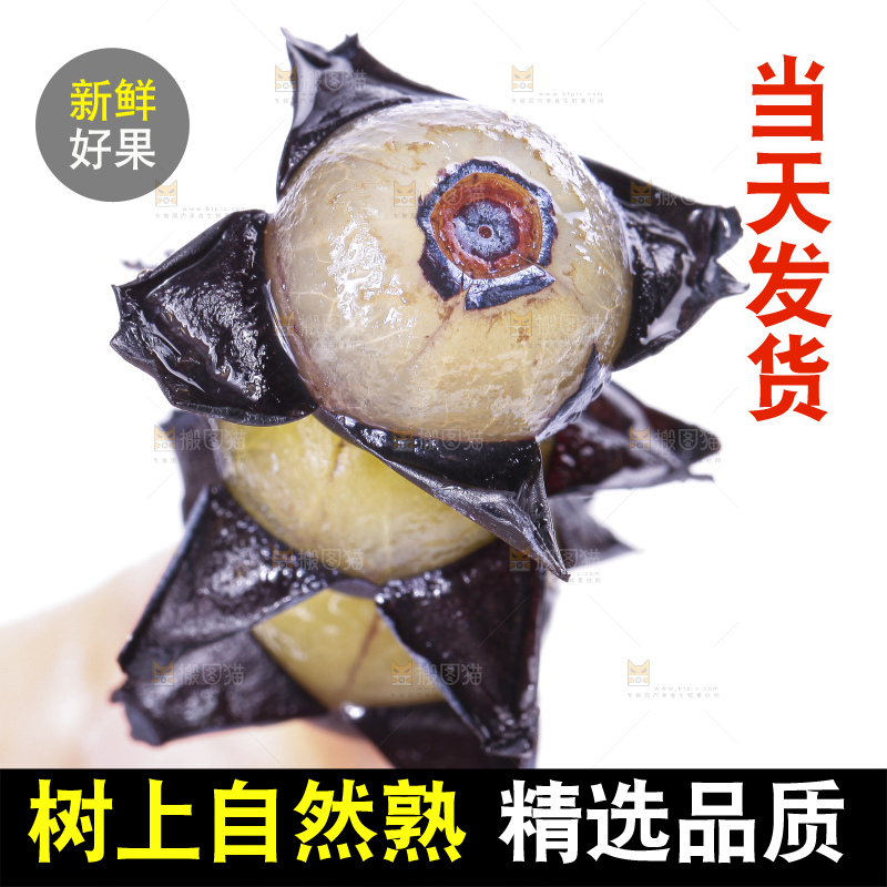 手里拿着蓝莓果