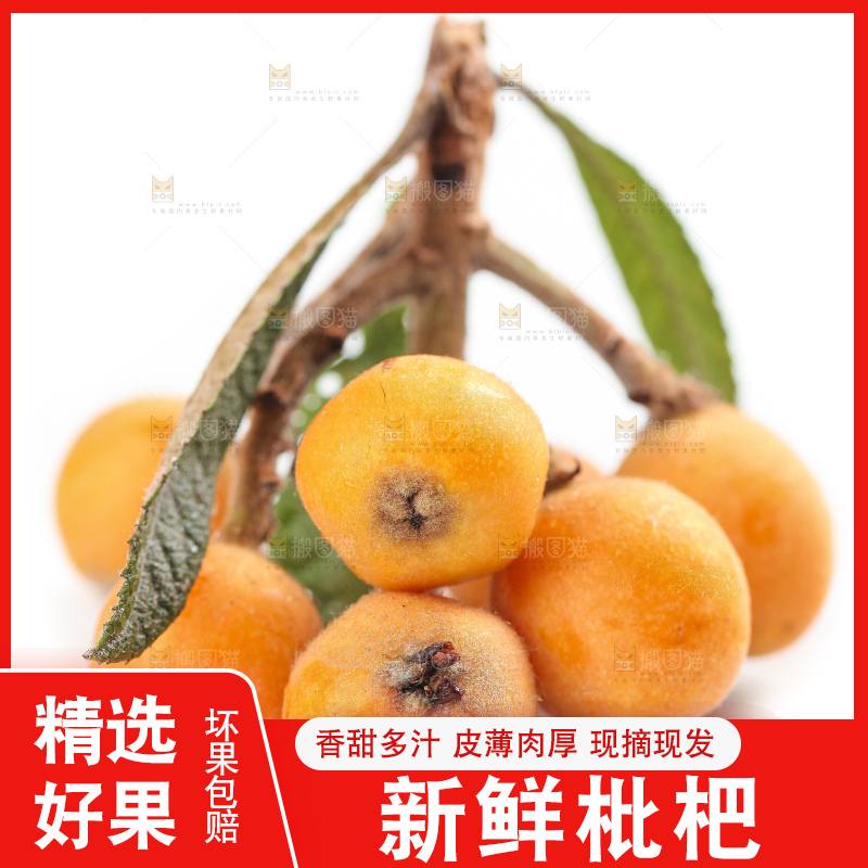 白底上放着云南蒙自枇杷
