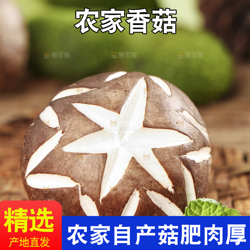 编织垫上放着香菇