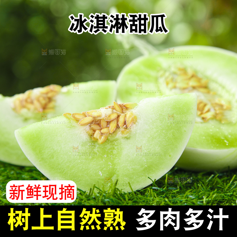 绿草地上摆放着玉菇甜瓜