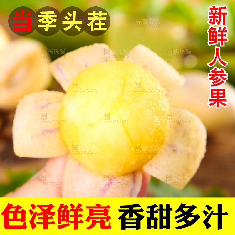 手里拿着黄心人参果