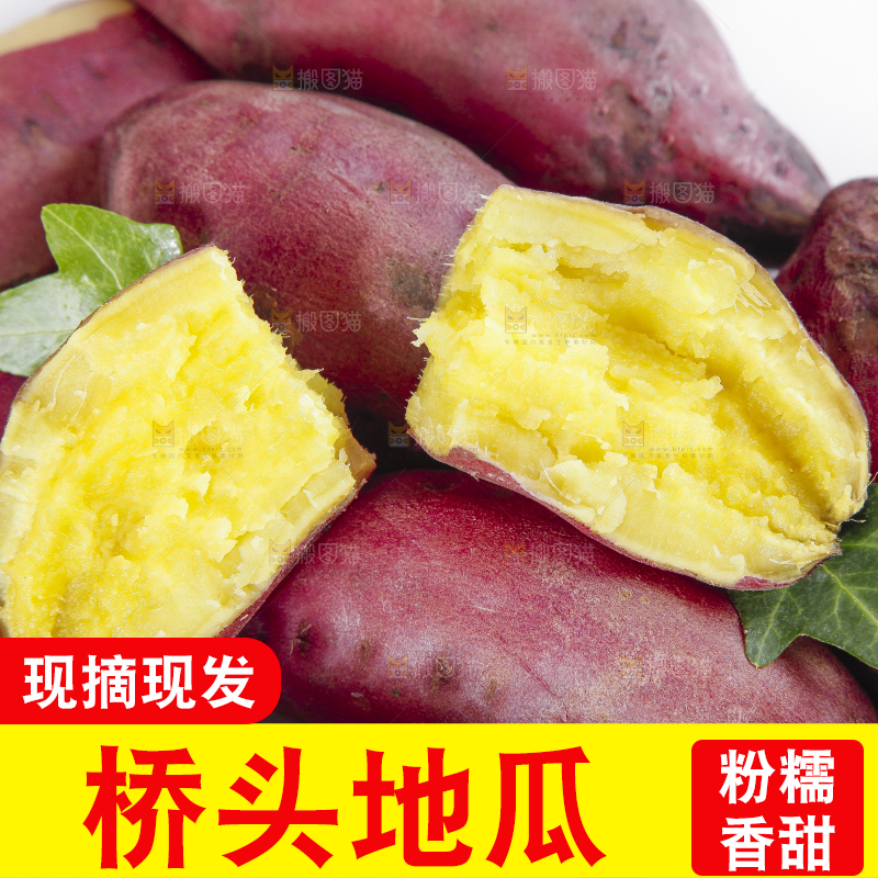 白底上摆放着桥头红薯