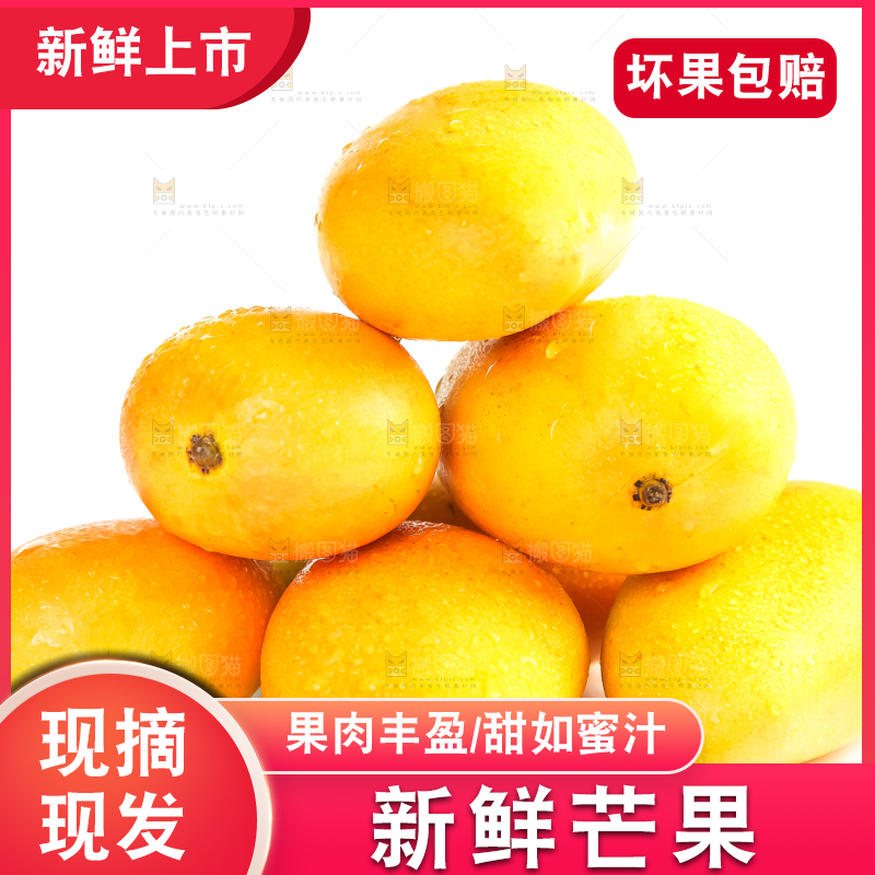 白底上摆放着小台芒