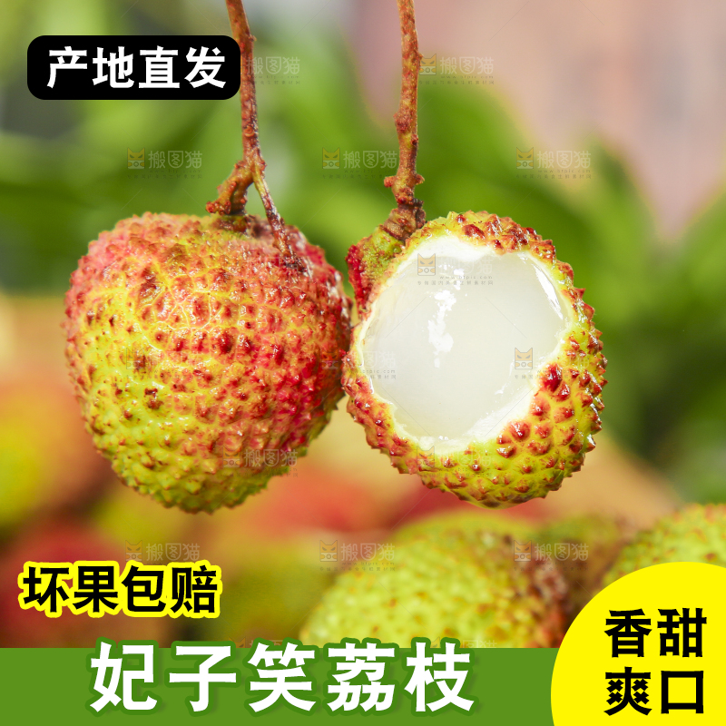 手里拿着妃子笑荔枝