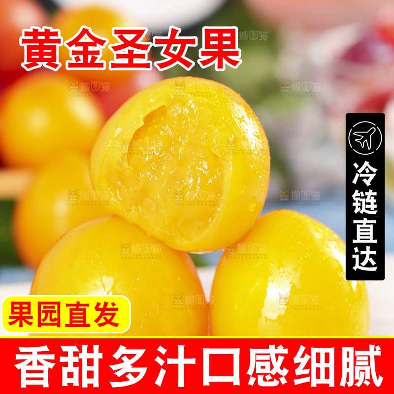 白底上摆放着山东黄金小番茄