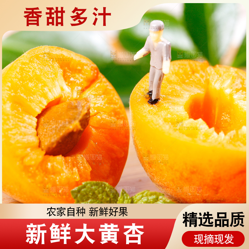 木底上放着陕西新鲜大黄杏