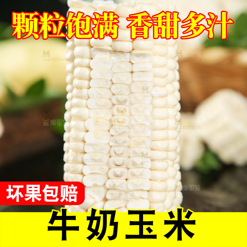 深底上放着漳州牛奶玉米