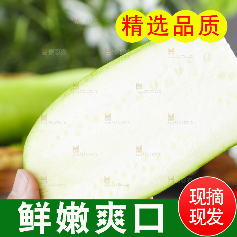 手里拿着瓠瓜