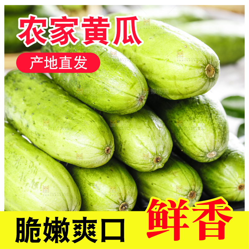 碟子里装着黄瓜