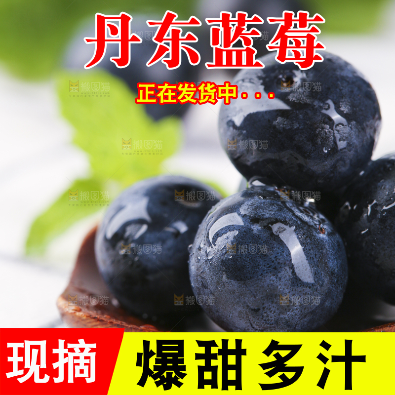 勺子上放着蓝莓果