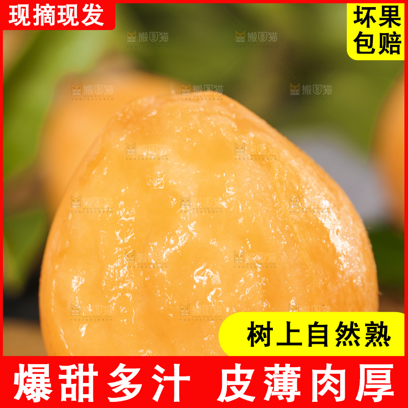 木底上放着枇杷