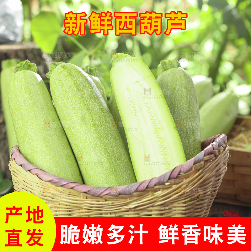 篮子里装着山东西葫芦