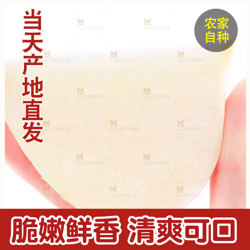 手里拿着凉薯