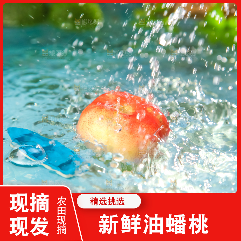 水里的油蟠桃