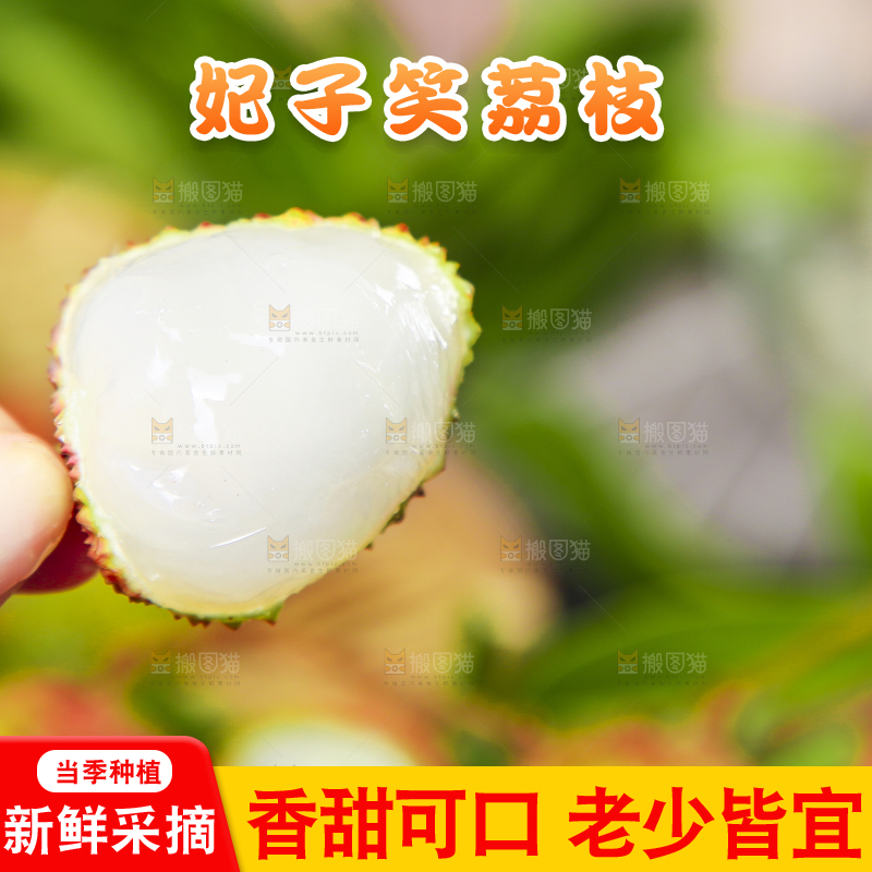 手里拿着妃子笑荔枝
