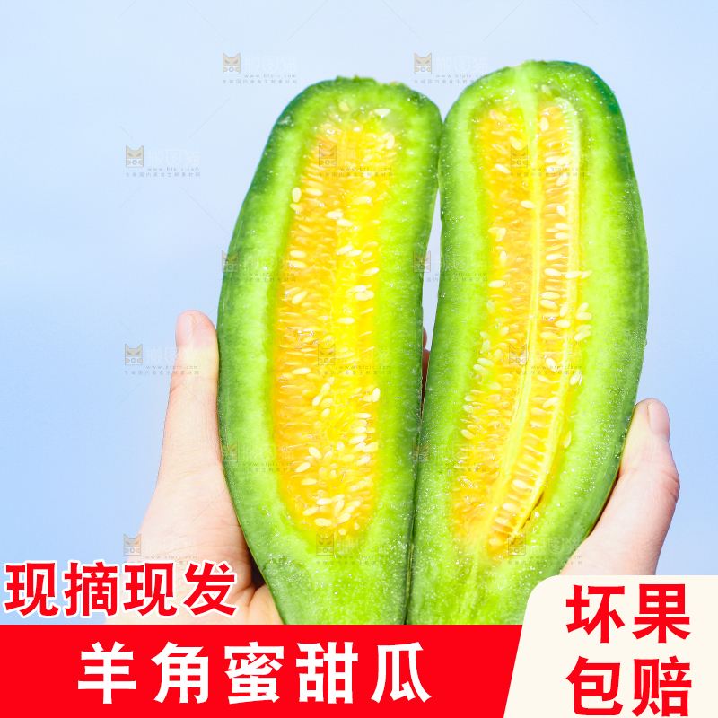 手里拿着羊角蜜甜瓜