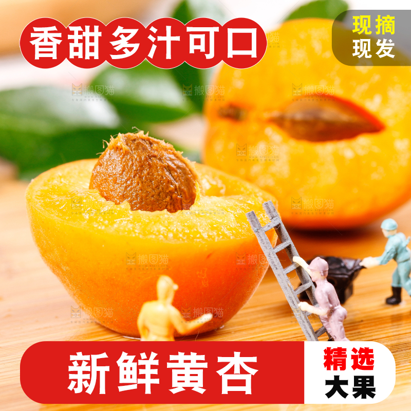 木底上放着新鲜大黄杏