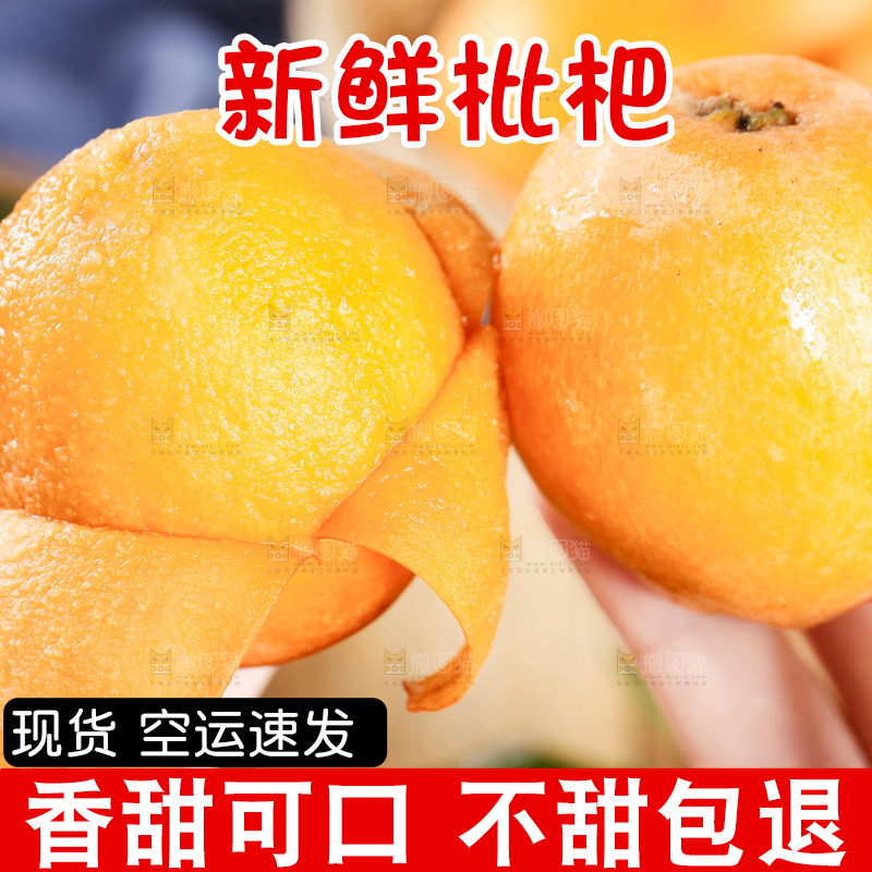 手里拿着高山枇杷