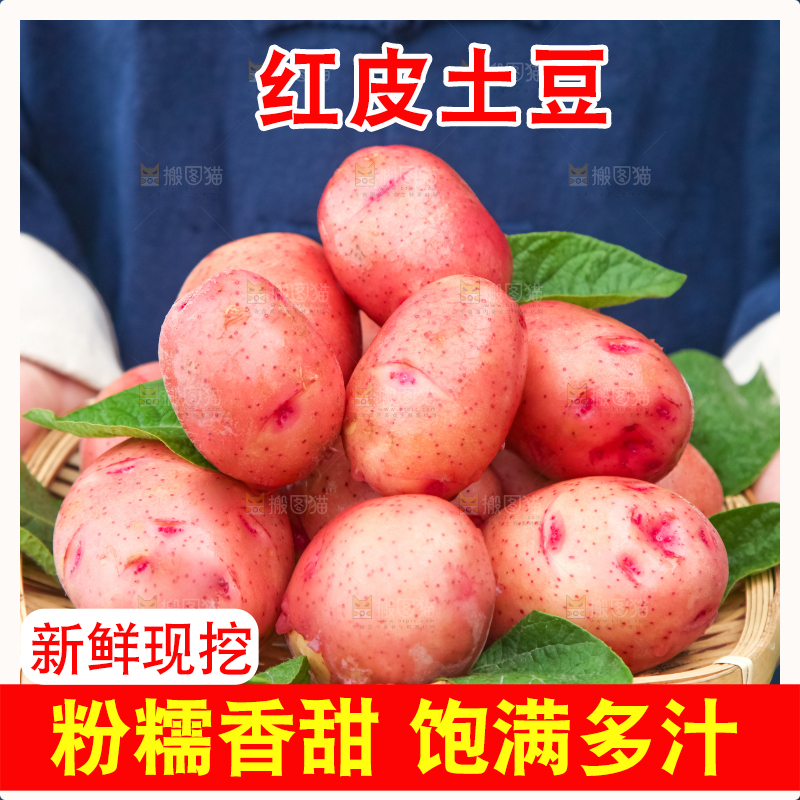 篮子里装着高山红皮土豆