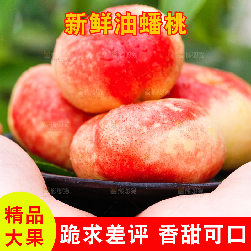 手里端着山东纽扣油蟠桃
