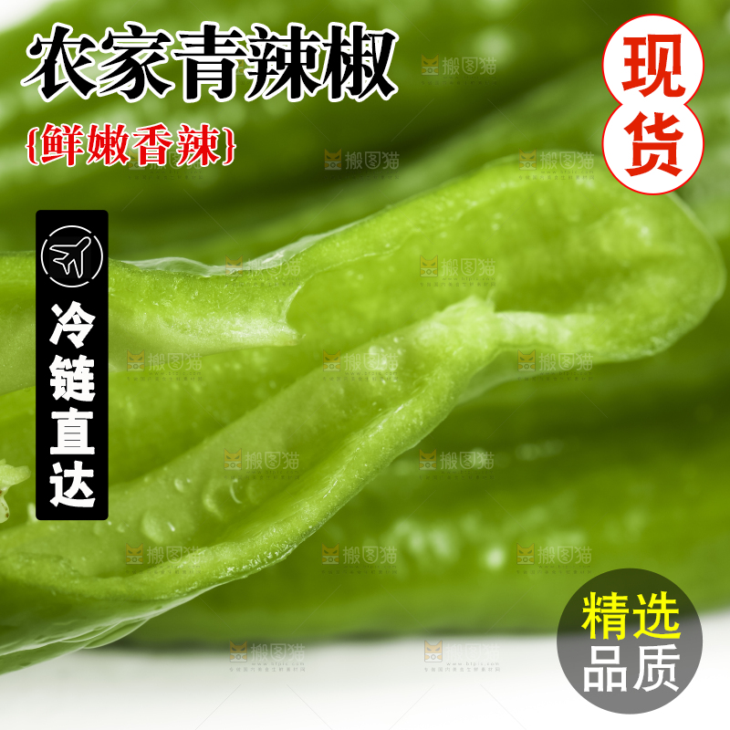 白底上摆放着青辣椒