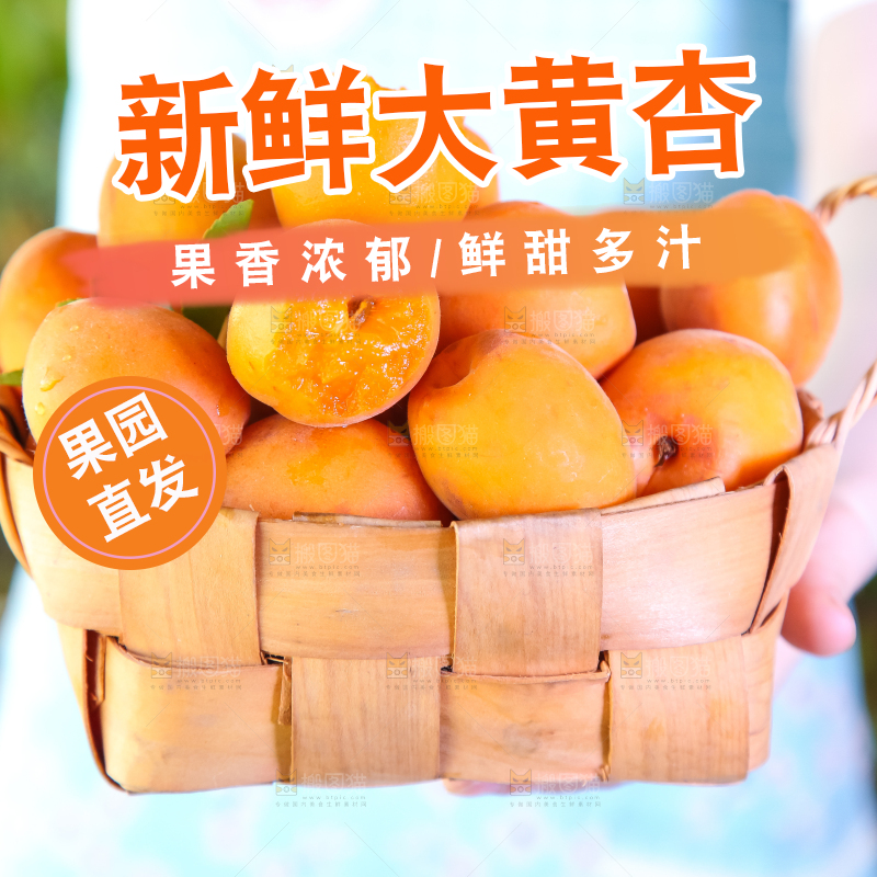 手里提着一篮杏子