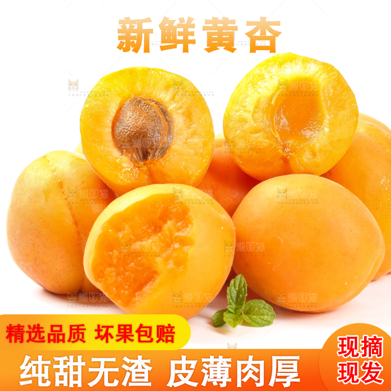 白底上摆放着杏子