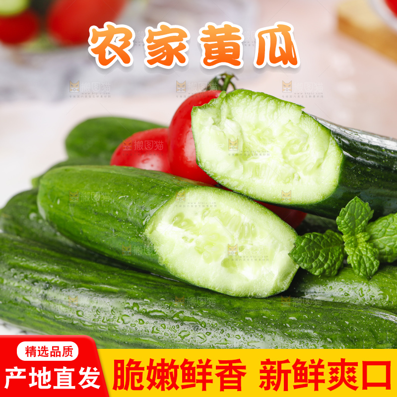 盘子里装着嫩黄瓜