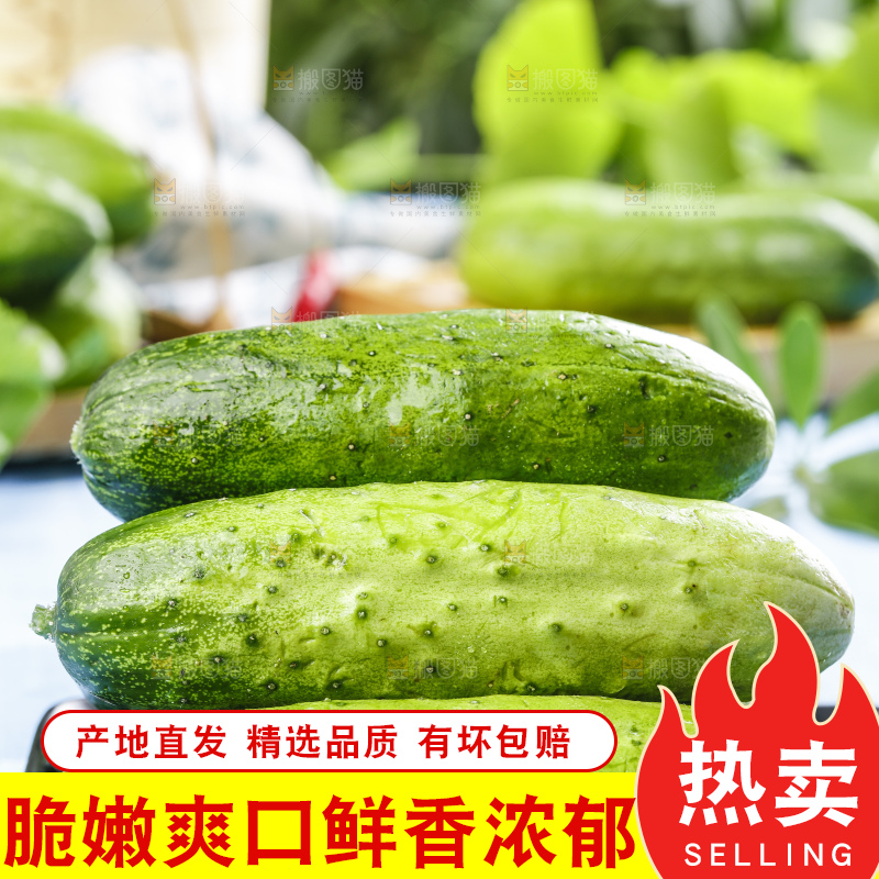 碟子里装着黄瓜
