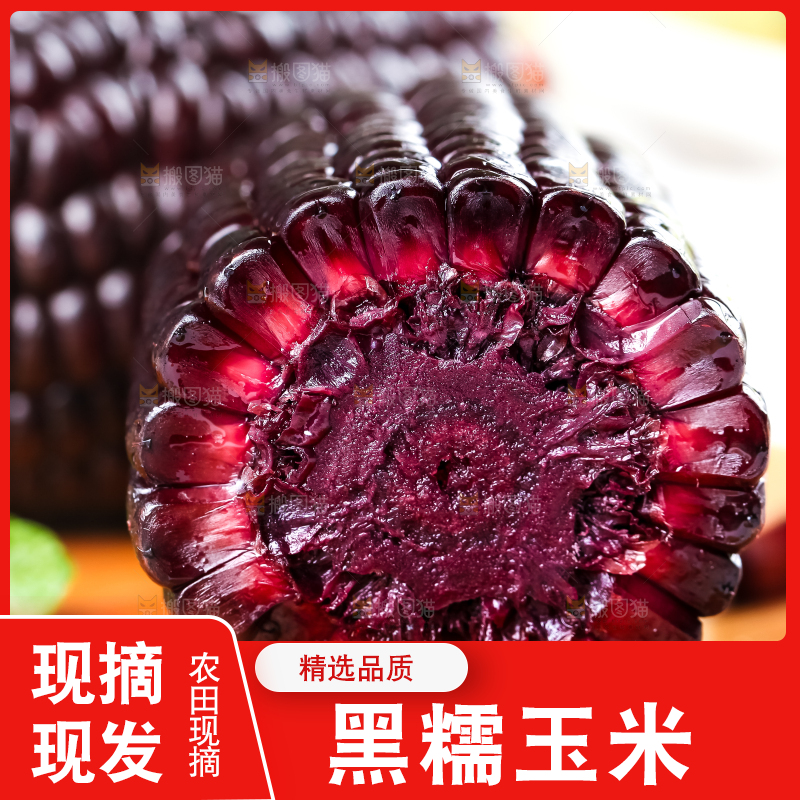 木底上放着山西黑玉米