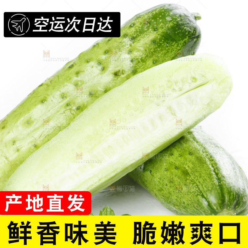 白底上放着刺青瓜