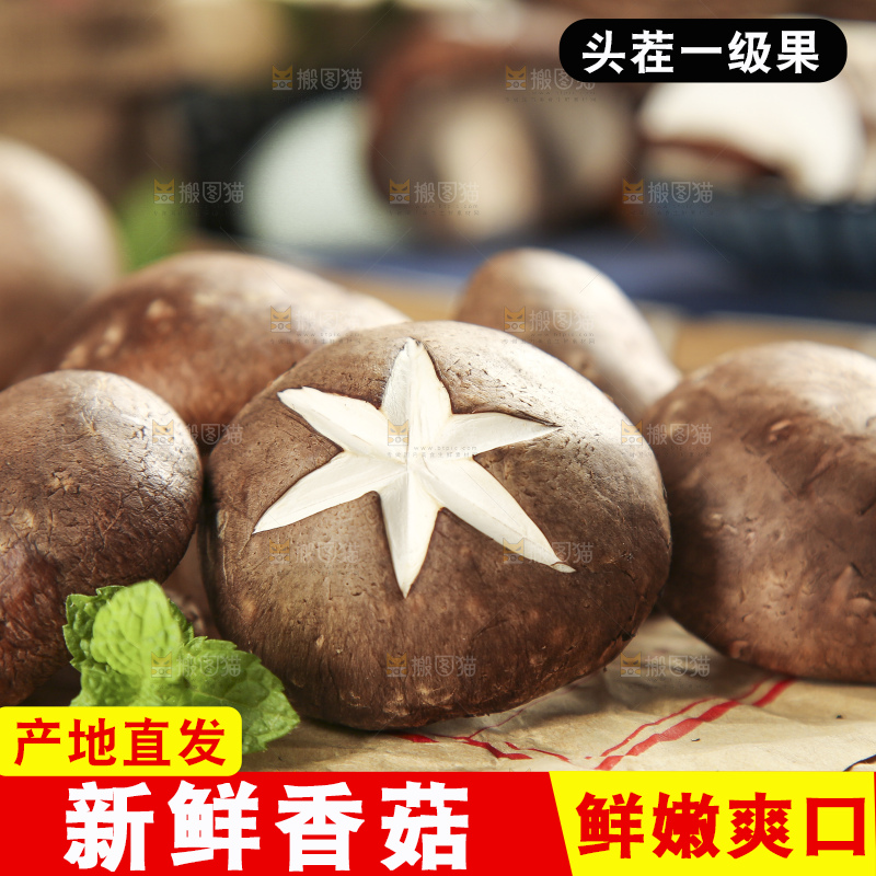 木底上摆放着新鲜香菇