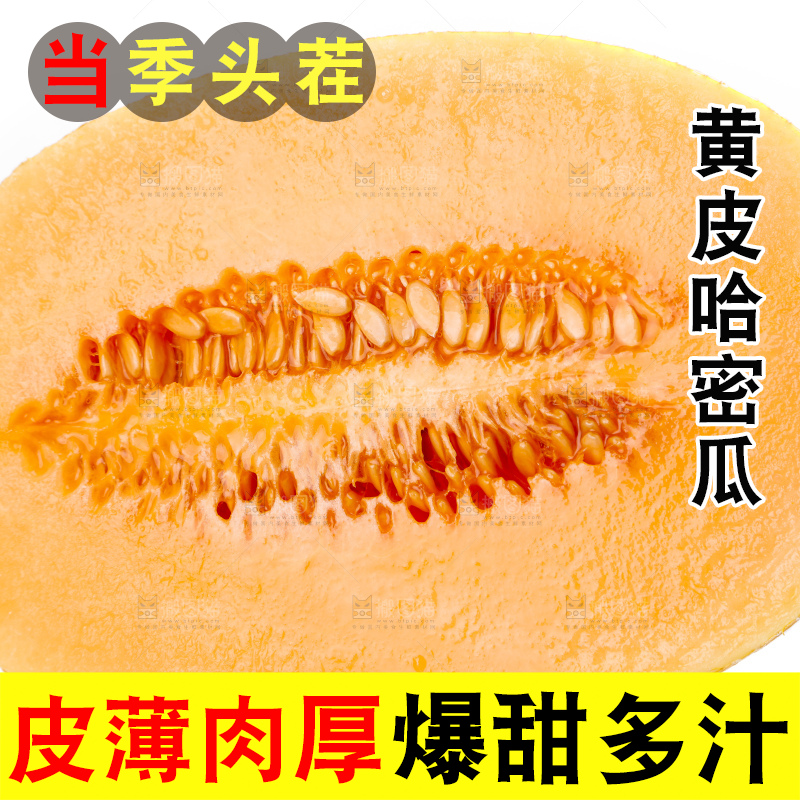 手里拿着新疆黄皮哈密瓜