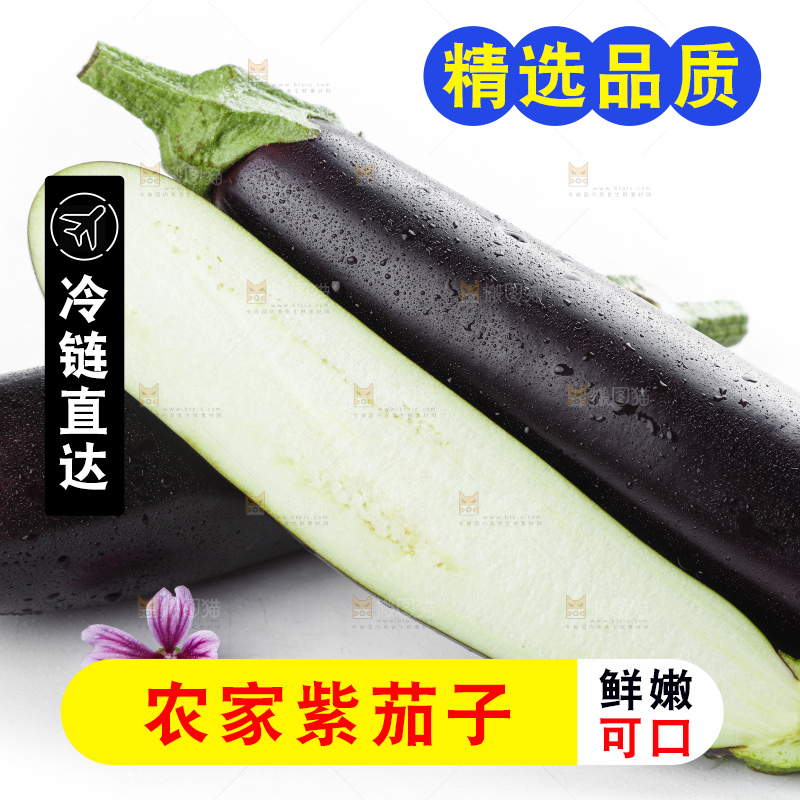 白底上摆放着紫茄子