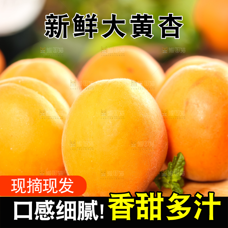 木底上摆放着秦岭头茬大黄杏