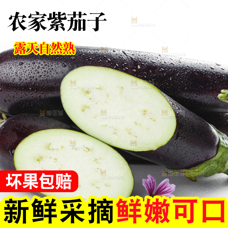 白底上摆放着紫茄子