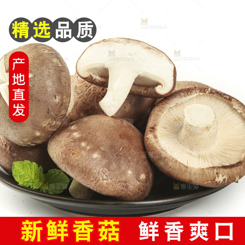 盘子里装着新鲜香菇