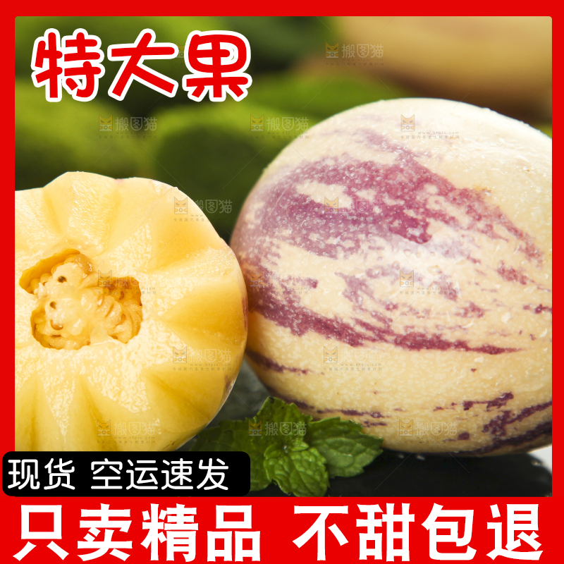 黑底上放着黄肉人参果