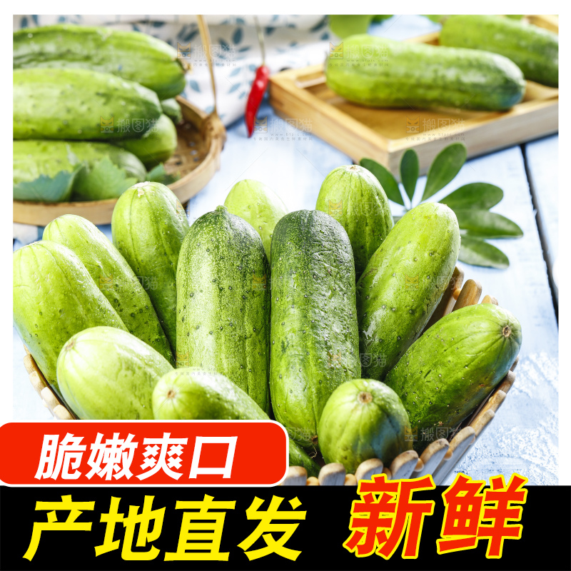 篮子里装着新鲜黄瓜