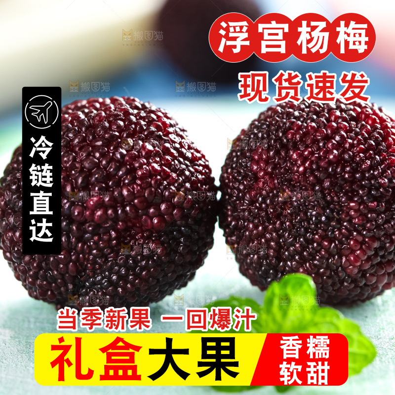 浅底上摆放着东魁杨梅